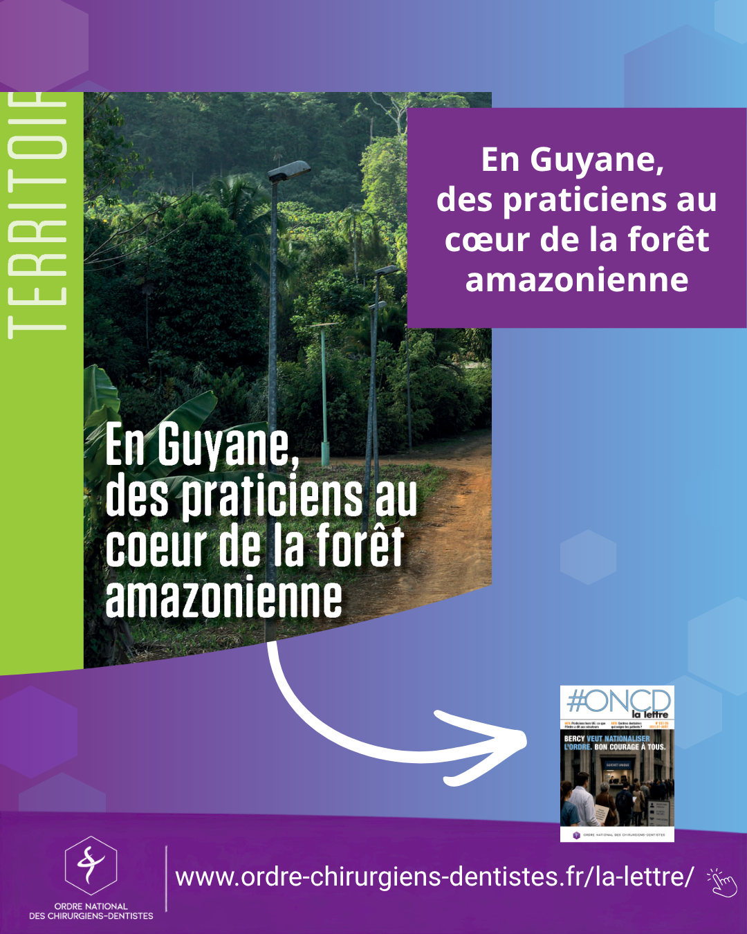 En Guyane, des praticiens au cœur de la forêt amazonienne