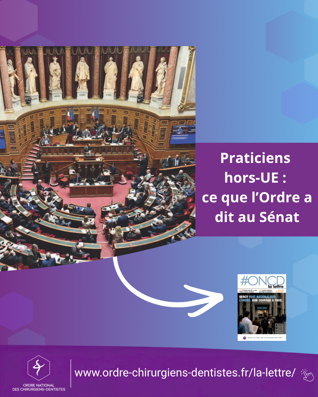 Praticiens hors-UE : ce que l’Ordre a dit au Sénat